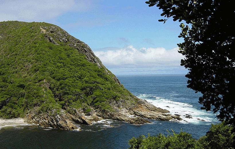 3 Day Garden Route Adventure Tour from Cape Town : Exploring SA's Garden Route