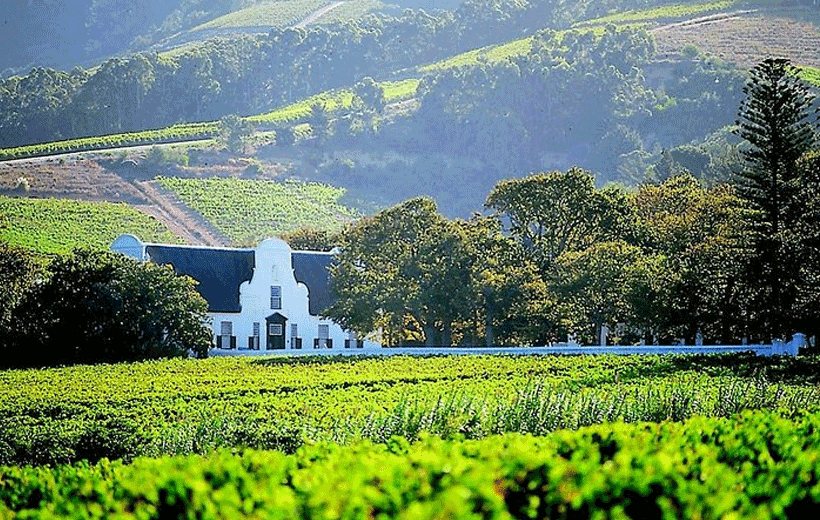 Franschhoek Tram Wine Tasting Tour Experience, Cape Town